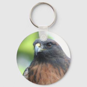 Hawk Schlüsselanhänger