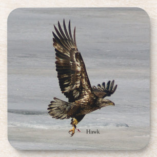 Hawk-Set von 6 harten Untersetzer aus Kunststoff
