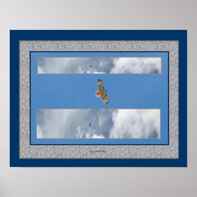 Hawk Soaring Collage 2 Foto Poster von gretchen (Vorne)