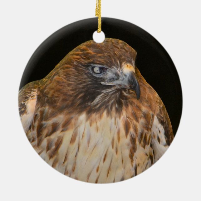 Hawk Totem Keramikornament (Hinten)