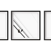 Hawk und Crow auf Powerlines