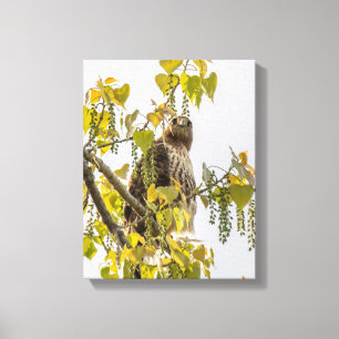Hawk und Herz Leinwanddruck