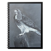 Hawk - Wähle deinen Moment