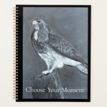 Hawk - Wähle deinen Moment