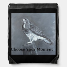 Hawk - Wähle deinen Moment