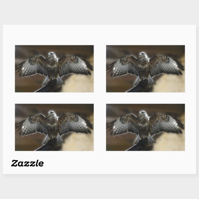 "Hawk with Wings Out Exmoore & Wildlife Sanctuary" Rechteckiger Aufkleber (Blatt)