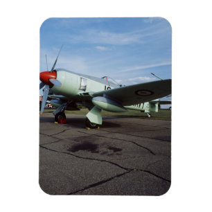 Hawker Sea Fury am CAF, Minnesota Wing, am 2. Magnet