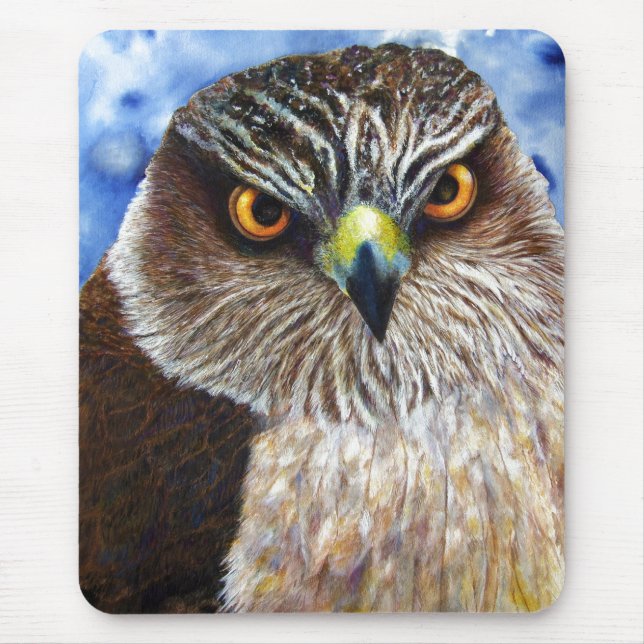 Hawkeyes Mousepad (Vorne)