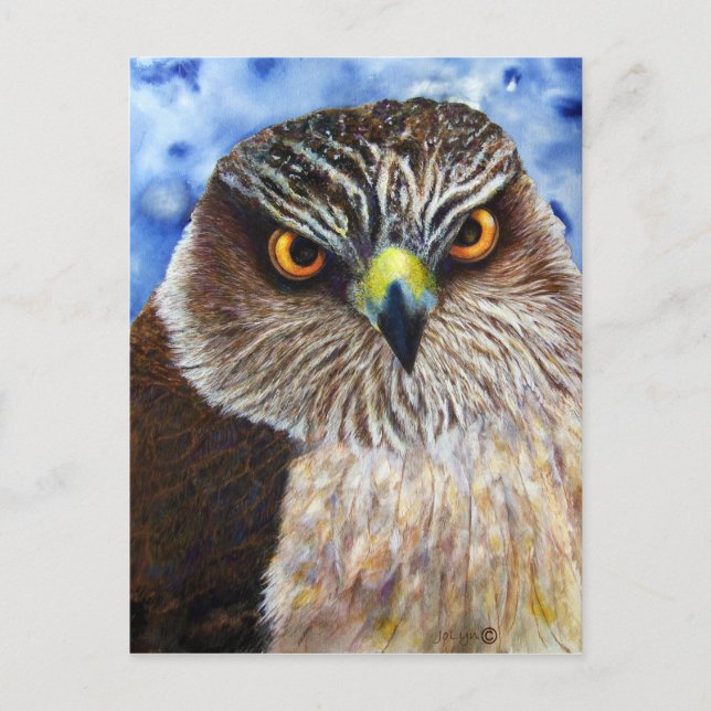 Hawkeyes Postkarte (Vorderseite)