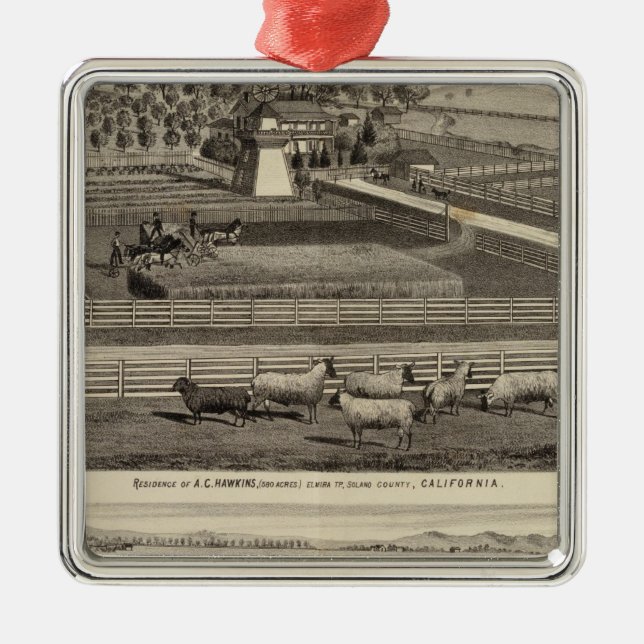Hawkins, Mayes Residenzen Silbernes Ornament (Vorne)
