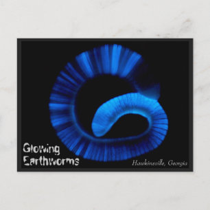 Hawkinsville Georgia US Postcard Postkarte