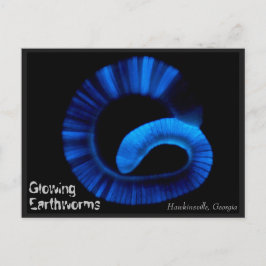 Hawkinsville Georgia US Postcard Postkarte