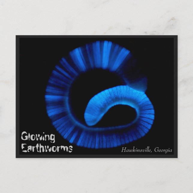 Hawkinsville Georgia US Postcard Postkarte (Vorderseite)