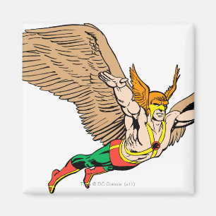 Hawkman Flies Magnet