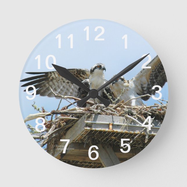 Hawks Ospreys Wall Clock Runde Wanduhr (Vorderseite)