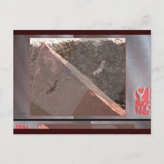 Hawks über der roten Postkarte