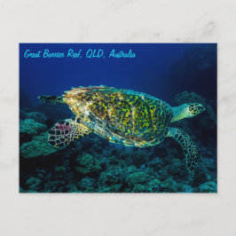 Hawksbill Meeresschildkröte-Great Barrier Reef Postkarte