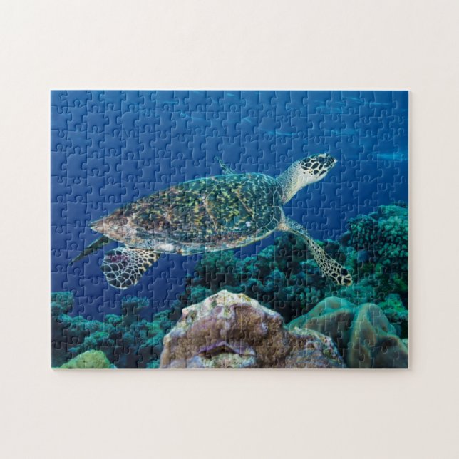 Hawksbill Meeresschildkröte-Great Barrier Reef Puzzle (Horizontal)
