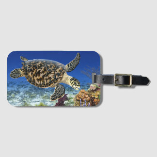 Hawksbill Meeresschildkröte im Gepäckanhänger
