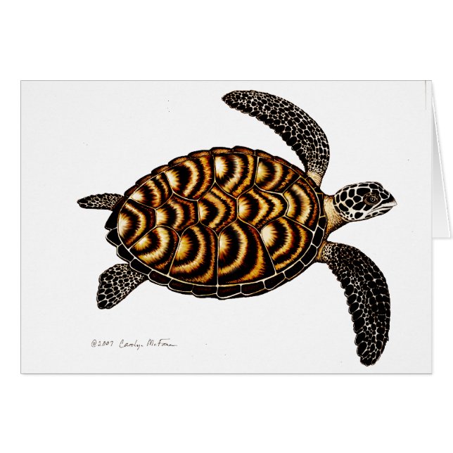 Hawksbill Meeresschildkröte-Karte (Vorderseite (Horizontal))