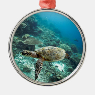 Hawksbill Meeresschildkröte unter Wasser Raja Ampa Silbernes Ornament