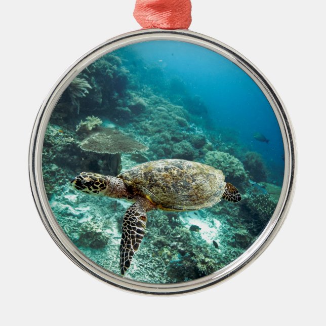 Hawksbill Meeresschildkröte unter Wasser Raja Ampa Silbernes Ornament (Vorne)
