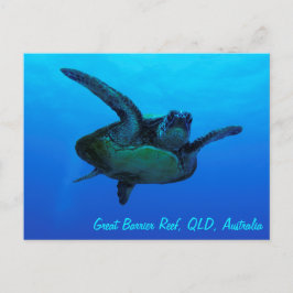 Hawksbill Sea Turtle Postcard Postkarte