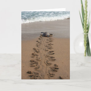 Hawksbill Turtle Trek Note card Karte