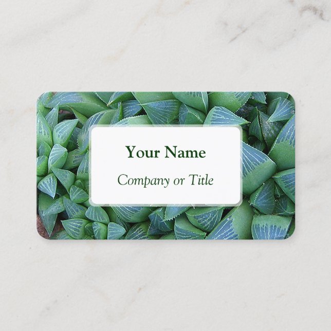 Haworthia Succulent Pflanze Business Cards Visitenkarte (Vorderseite)