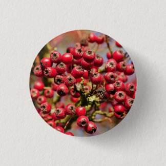 Hawthorn Berries Abzeichen Button
