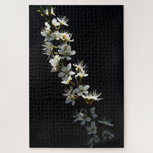 Hawthorn-Blume 20x30 1014pc jpcnm Puzzle (Vertikal)