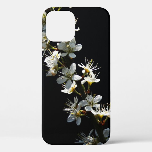 Hawthorn-Blume-ipha Case-Mate iPhone Hülle (Rückseite)