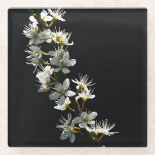 Hawthorn Blume Küstenercna Glasuntersetzer