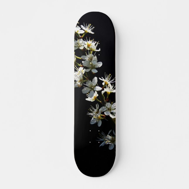 Hawthorn Blume sdcna Skateboard (Vorne)