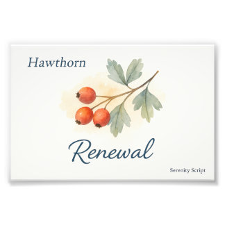 Hawthorn — Renewal Fotodruck