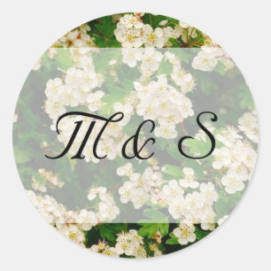 Hawthron Blossom Round Aufkleber