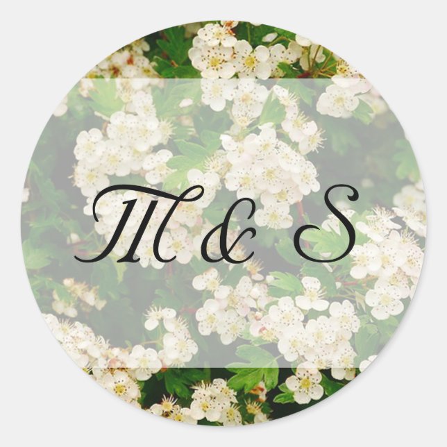 Hawthron Blossom Round Aufkleber (Vorderseite)
