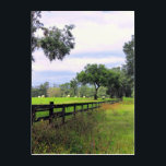 Hay Bales Art & Wall Deco Acryl Wandkunst<br><div class="desc">Hay Bales landschaftlich. Das Foto hat eine Kombination aus einem langen,  führenden Zaun,  Heuballen,  hübschen Wolken und farbenfrohen Gräsern. Das Bild wurde in Ocala,  Florida,  USA,  in einem der Pferdezuchtbetriebe aufgenommen.</div>