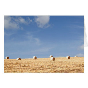 Hay Bales auf dem Feld