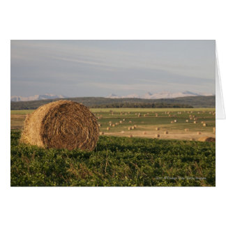 Hay Bales auf einem Feld mit Bergen bei Sonnenaufg