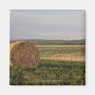 Hay Bales auf einem Feld mit Bergen bei Sonnenaufg Magnet