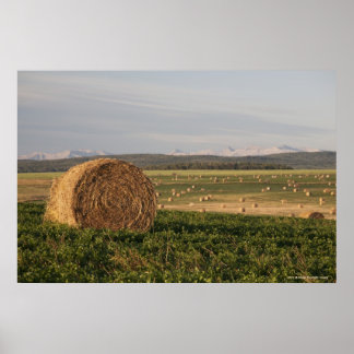 Hay Bales auf einem Feld mit Bergen bei Sonnenaufg Poster