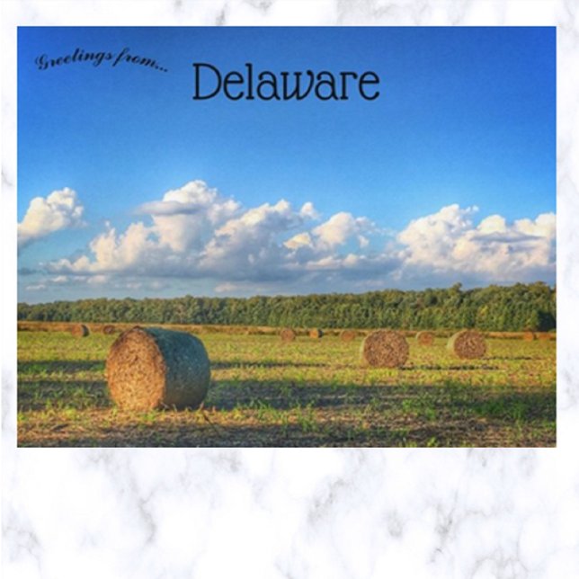 Hay Bales außerhalb von Georgetown Delaware Postkarte (Von Creator hochgeladen)