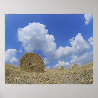 Hay Bales in Field, Pienza, Val d'Orcia, Siena