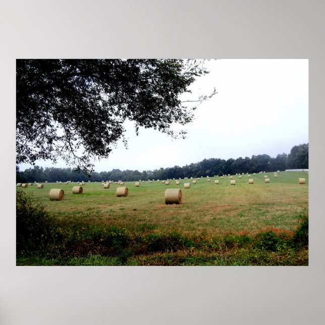 Hay Bales von Ocala Florida Posterfotografie Poster (Vorne)