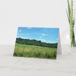 Hay Bales, Wytheville, Virginia Karte