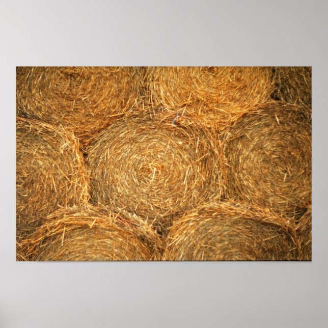 Hay Balls Poster (Vorne)