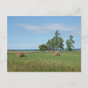 Hay Field Postcard Postkarte
