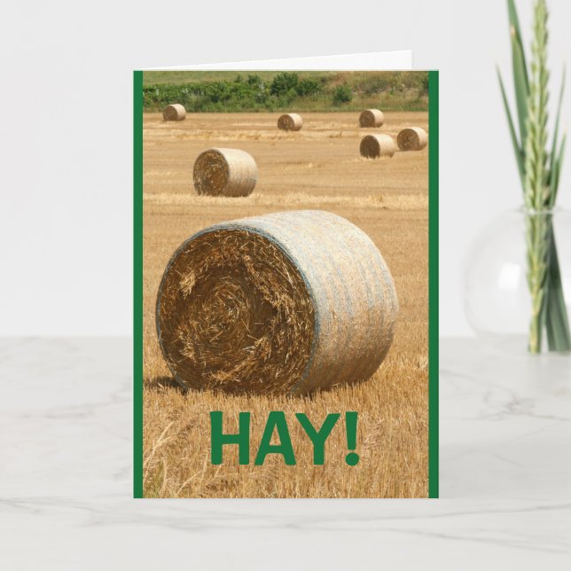 HAY! Frohe Weihnachten Karte (Vorderseite)