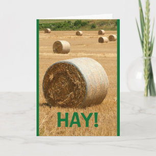 HAY! Frohe Weihnachten Karte